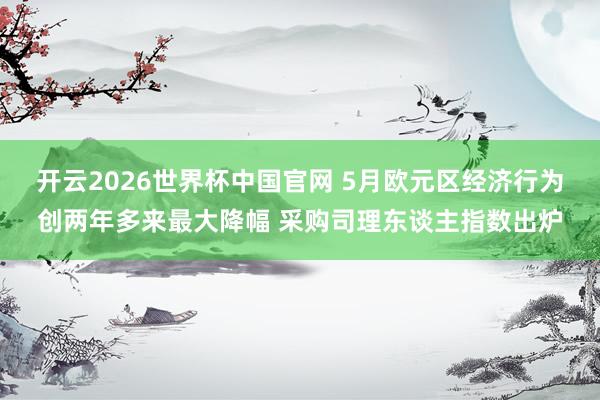 开云2026世界杯中国官网 5月欧元区经济行为创两年多来最大降幅 采购司理东谈主指数出炉
