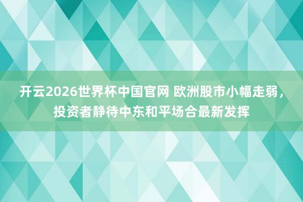 开云2026世界杯中国官网 欧洲股市小幅走弱，投资者静待中东和平场合最新发挥