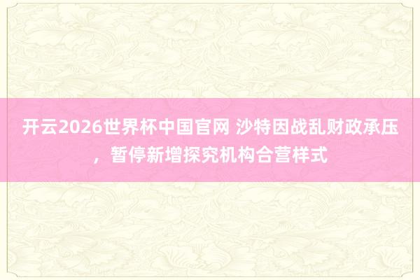 开云2026世界杯中国官网 沙特因战乱财政承压，暂停新增探究机构合营样式