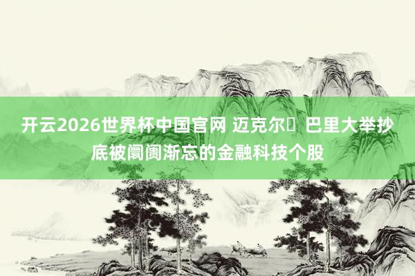 开云2026世界杯中国官网 迈克尔・巴里大举抄底被阛阓渐忘的金融科技个股