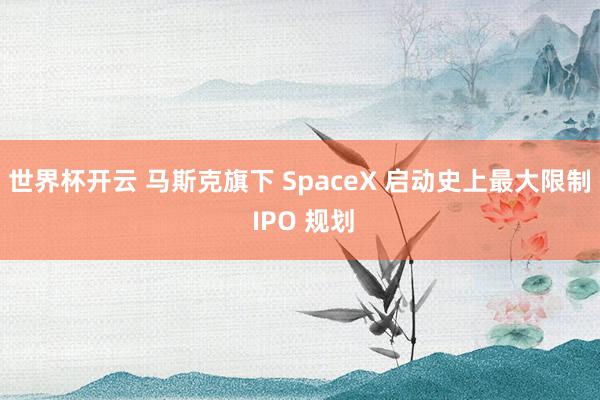 世界杯开云 马斯克旗下 SpaceX 启动史上最大限制 IPO 规划