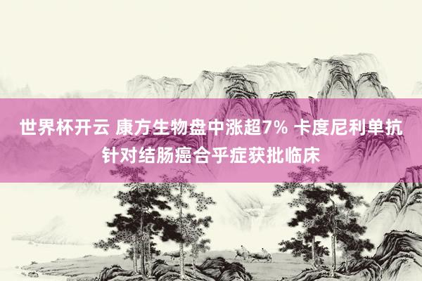 世界杯开云 康方生物盘中涨超7% 卡度尼利单抗针对结肠癌合乎症获批临床