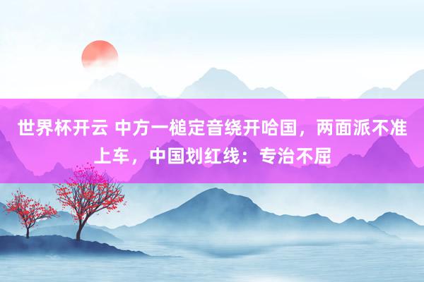 世界杯开云 中方一槌定音绕开哈国，两面派不准上车，中国划红线：专治不屈
