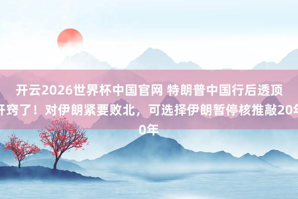 开云2026世界杯中国官网 特朗普中国行后透顶开窍了！对伊朗紧要败北，可选择伊朗暂停核推敲20年