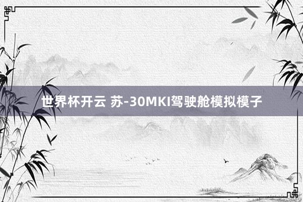 世界杯开云 苏-30MKI驾驶舱模拟模子