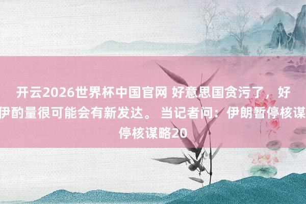 开云2026世界杯中国官网 好意思国贪污了，好意思伊酌量很可能会有新发达。 当记者问：伊朗暂停核谋略20
