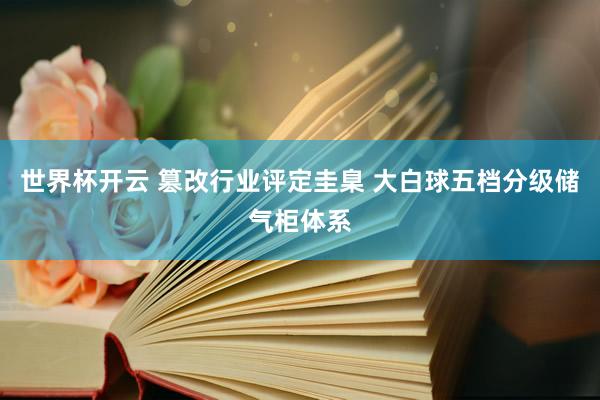 世界杯开云 篡改行业评定圭臬 大白球五档分级储气柜体系