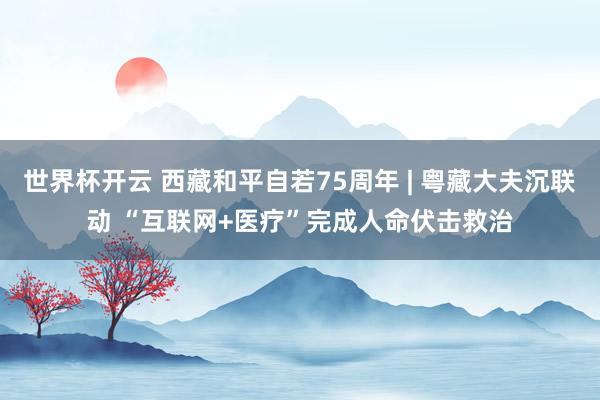 世界杯开云 西藏和平自若75周年 | 粤藏大夫沉联动 “互联网+医疗”完成人命伏击救治