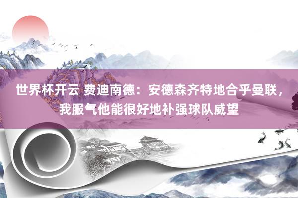世界杯开云 费迪南德：安德森齐特地合乎曼联，我服气他能很好地补强球队威望