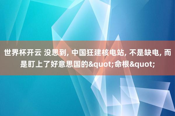 世界杯开云 没思到， 中国狂建核电站， 不是缺电， 而是盯上了好意思国的"命根"