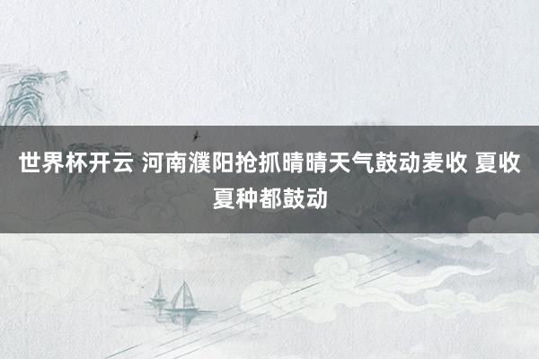 世界杯开云 河南濮阳抢抓晴晴天气鼓动麦收 夏收夏种都鼓动