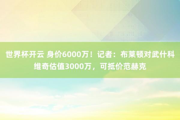 世界杯开云 身价6000万！记者：布莱顿对武什科维奇估值3000万，可抵价范赫克
