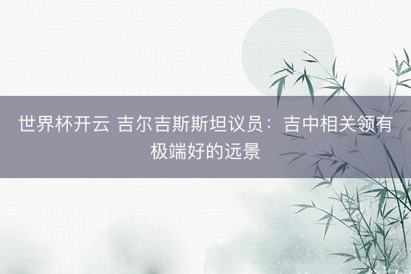 世界杯开云 吉尔吉斯斯坦议员：吉中相关领有极端好的远景