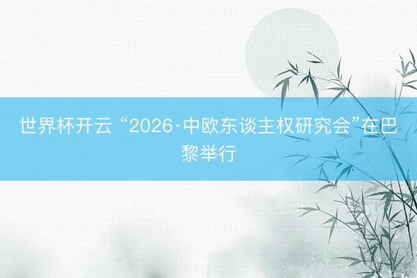 世界杯开云 “2026·中欧东谈主权研究会”在巴黎举行