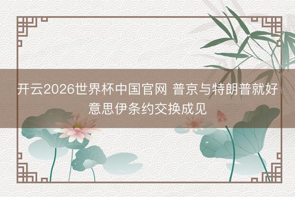 开云2026世界杯中国官网 普京与特朗普就好意思伊条约交换成见