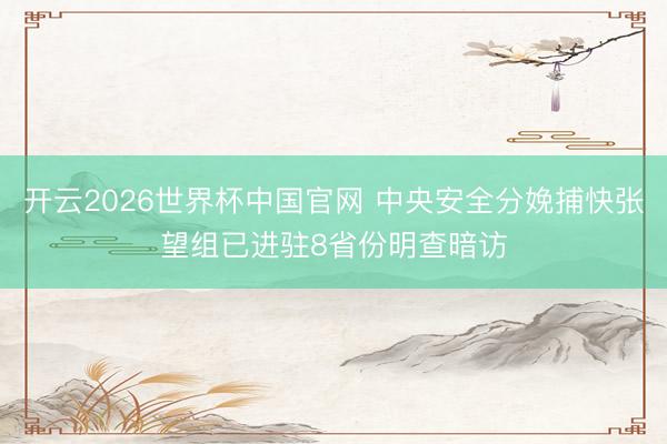 开云2026世界杯中国官网 中央安全分娩捕快张望组已进驻8省份明查暗访