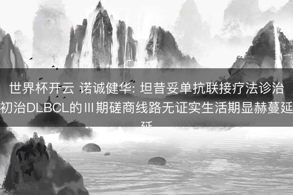 世界杯开云 诺诚健华: 坦昔妥单抗联接疗法诊治初治DLBCL的Ⅲ期磋商线路无证实生活期显赫蔓延