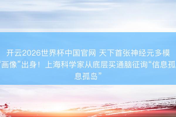 开云2026世界杯中国官网 天下首张神经元多模态“画像”出身！上海科学家从底层买通脑征询“信息孤岛”
